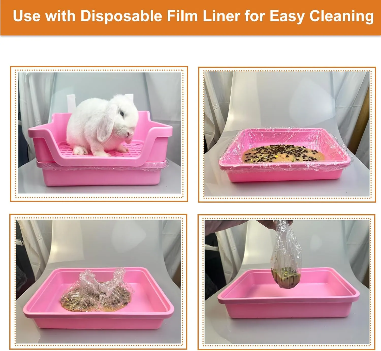 ,, 50 , Chinchilla ()
