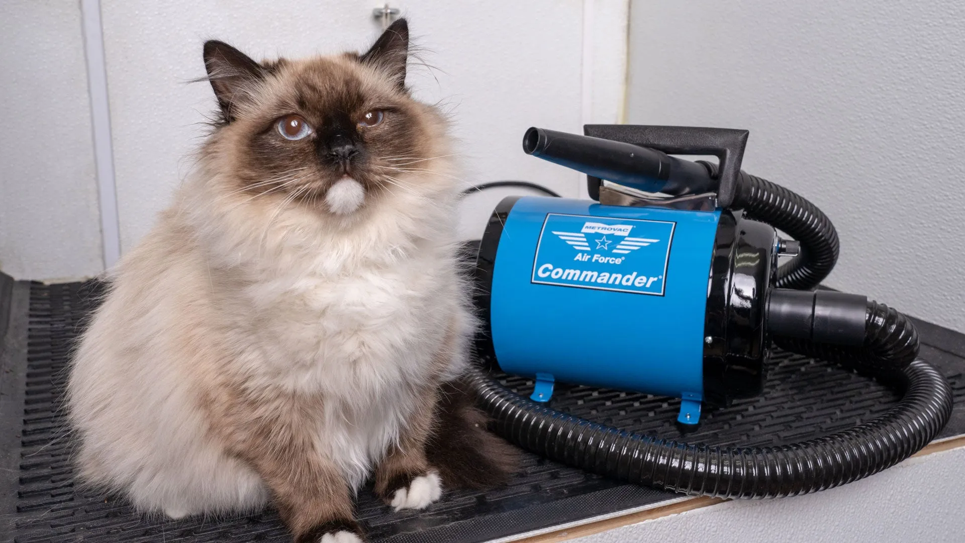 220/240V Air Force® Commander® Variable Speed Pet Dryer