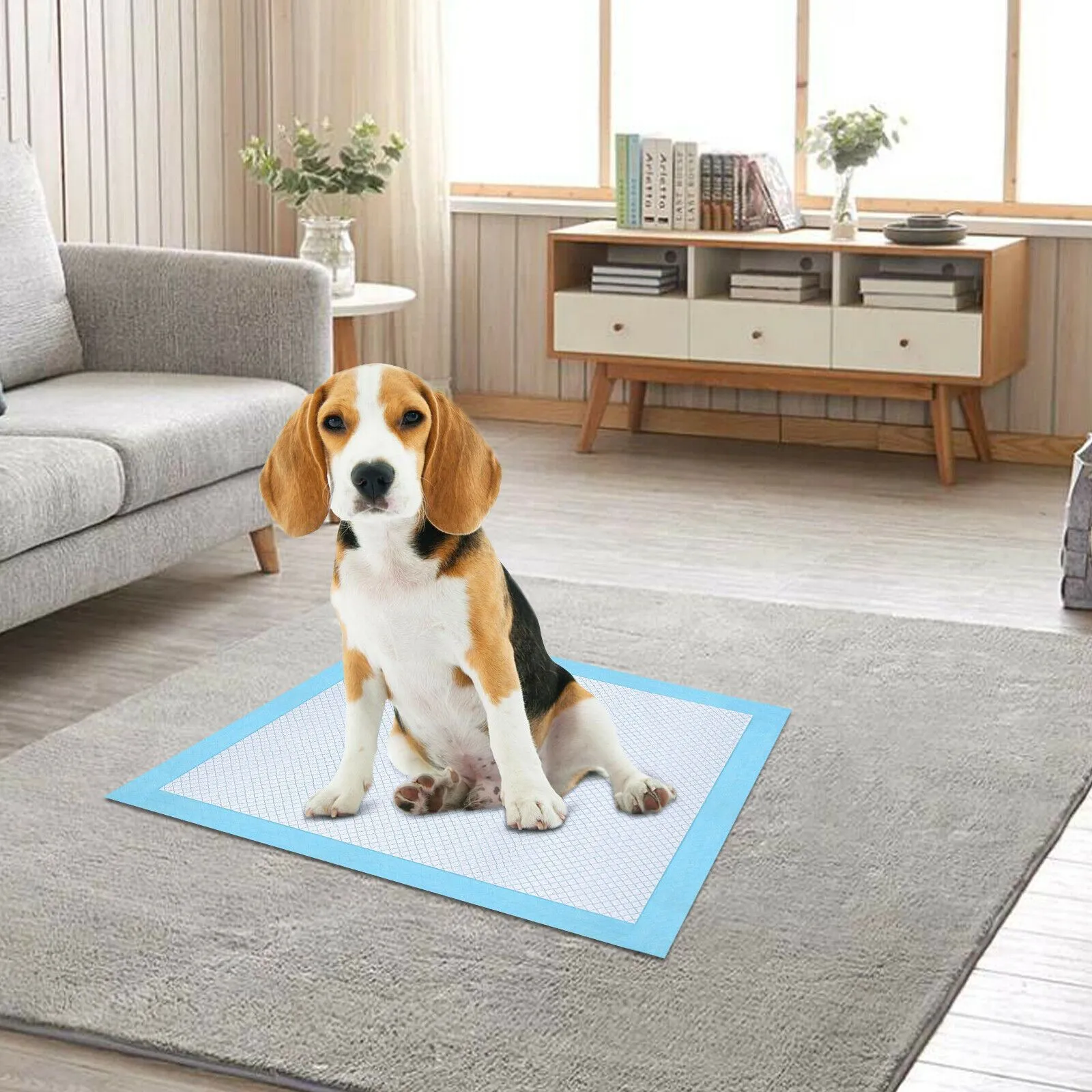 30-Piece: Ownpets Pet Dog Training Pads