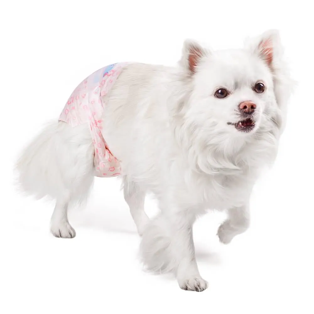 AllPetSolutions Disposable Female Dog Nappies XXS - XL
