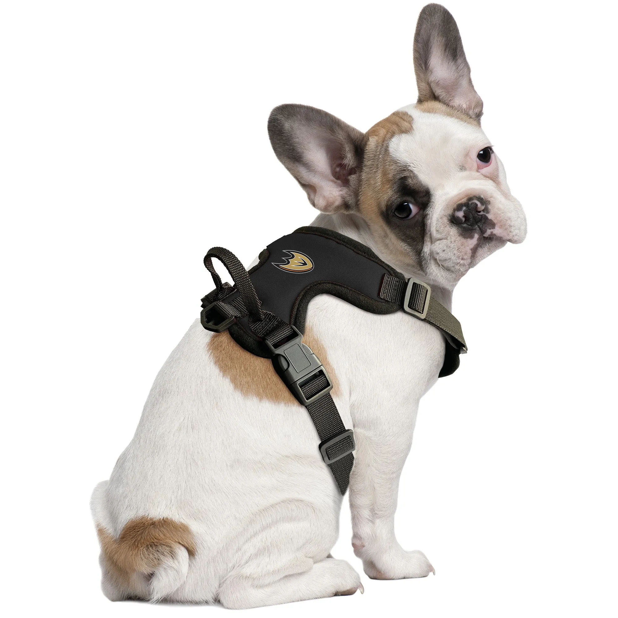 Anaheim Ducks Front Clip Pet Harness