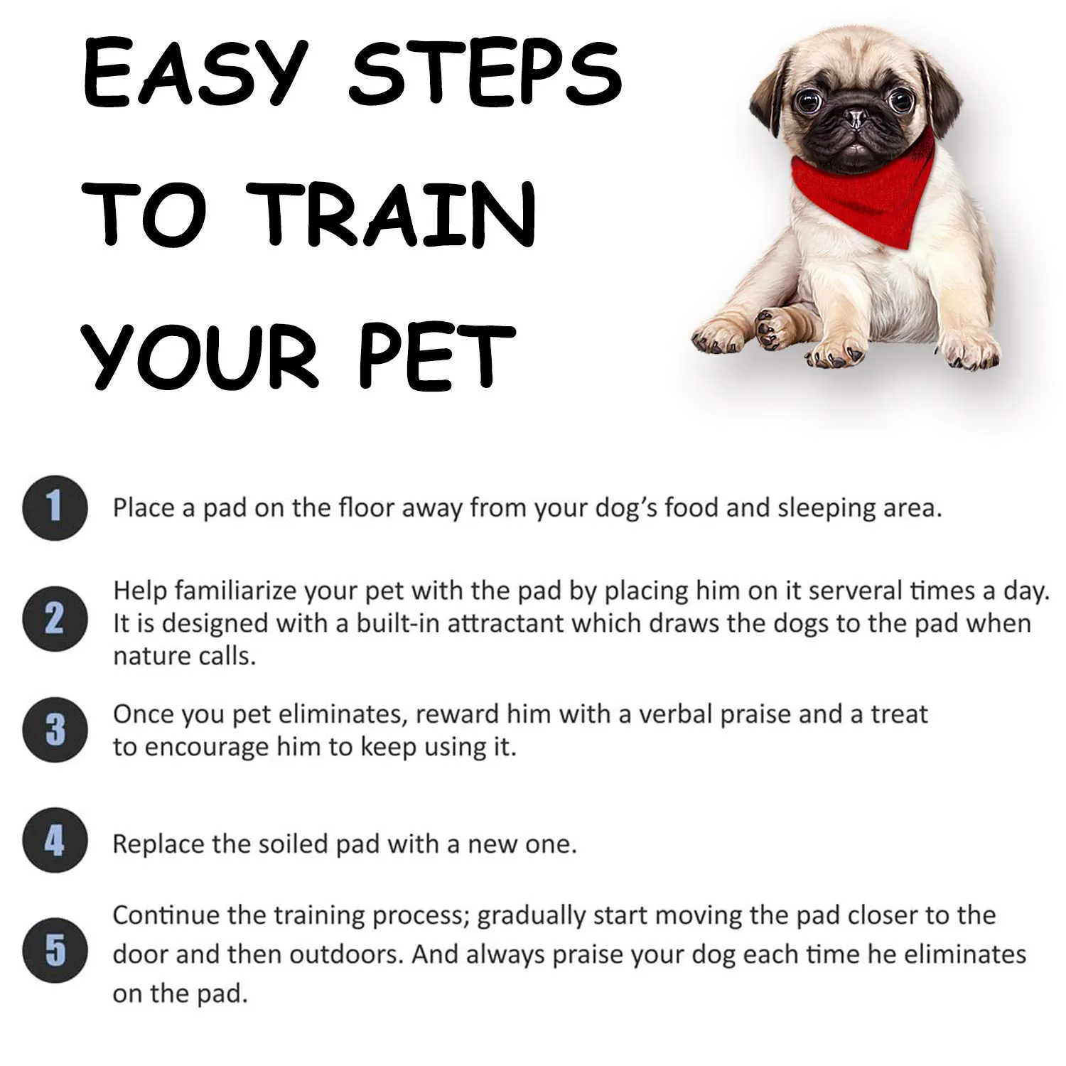 BASIL Dog Training Pee Pads with Activated Carbon & Leak-Proof Quick-Dry Design, Medium (45 x 60 Cms) - Pack of 25