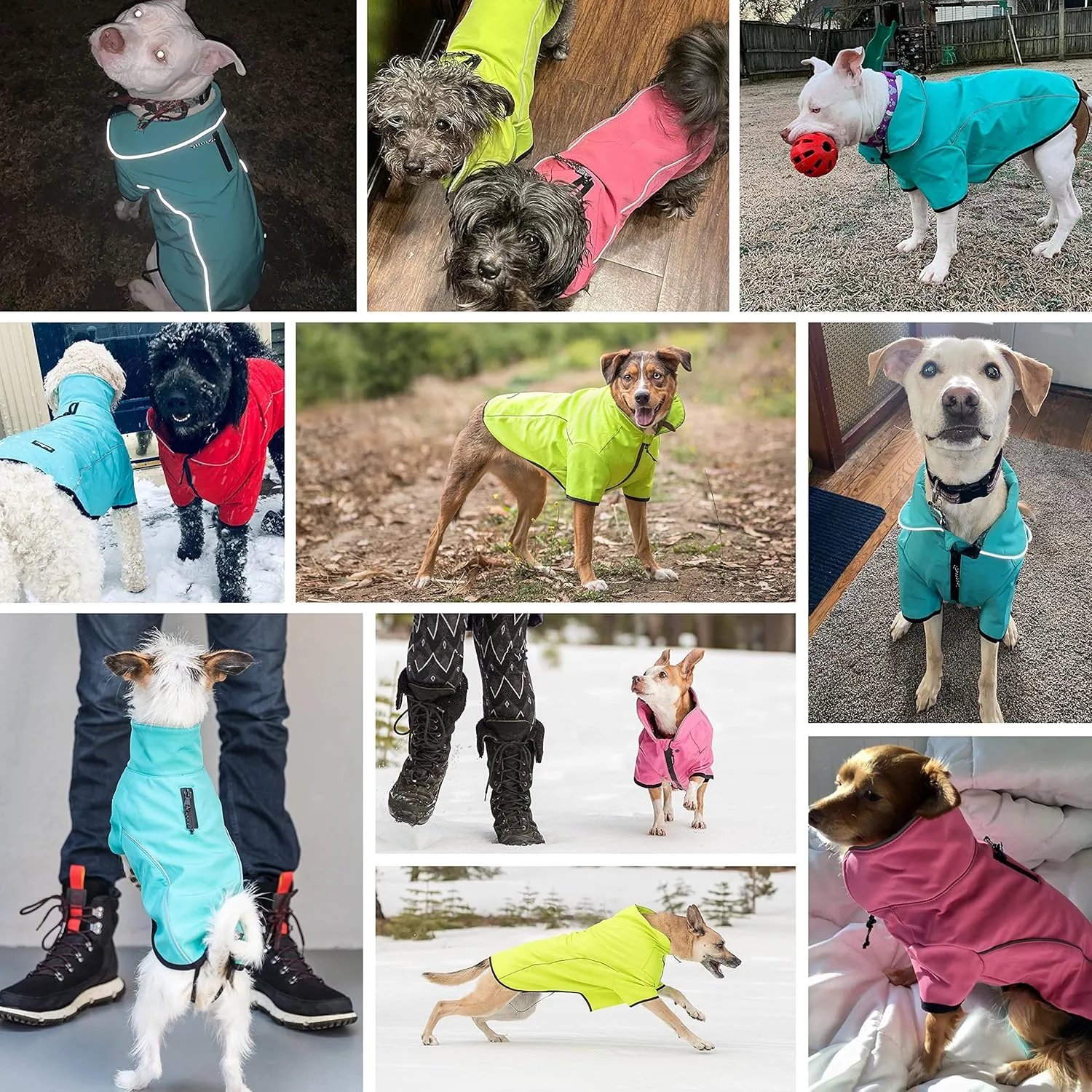 Blueberry Pet Windproof Waterproof Reflective Softshell Dog Jacket, Neon Yellow, Back Length 27.5", Size 26, Warm & Lightweight Winter Outdoor Windbreaker Coats Raincoats for Dogs