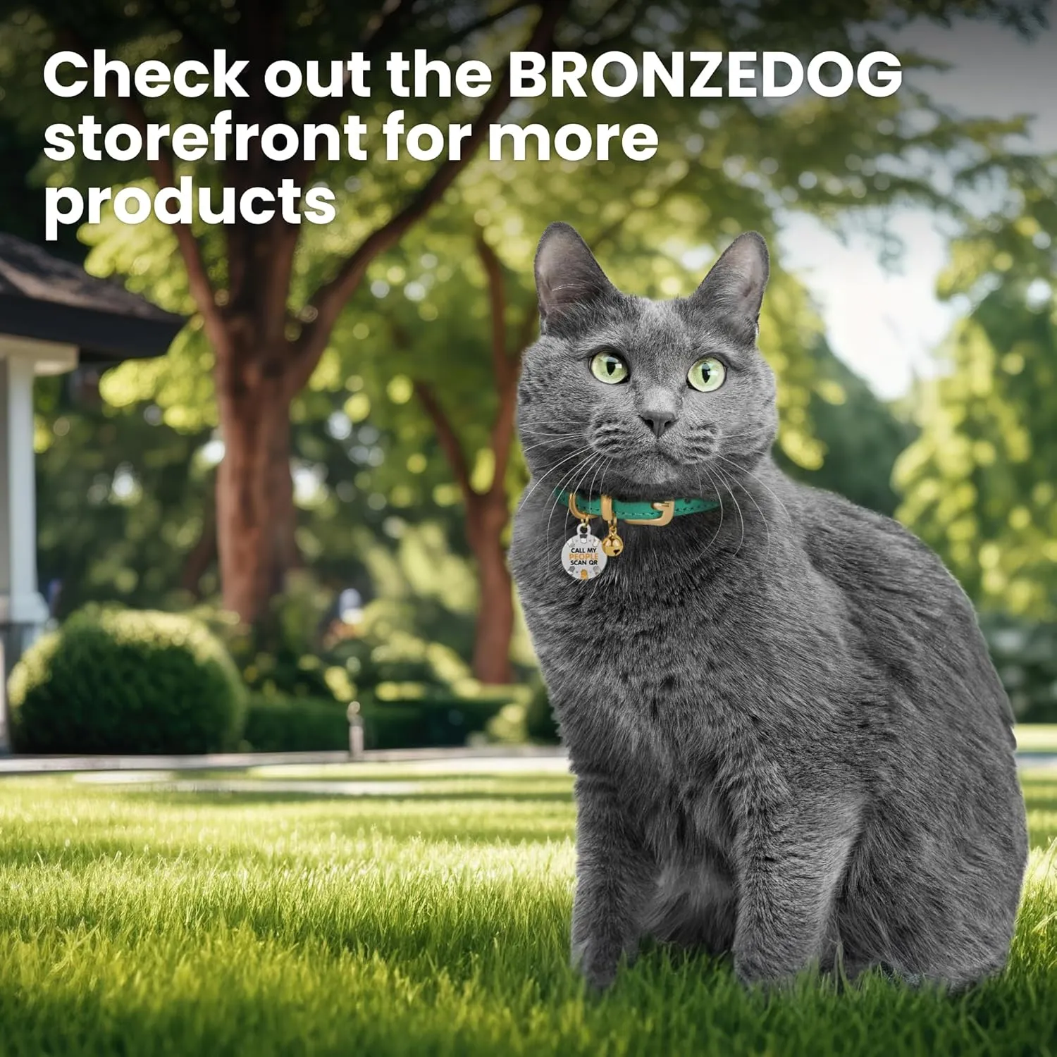 BRONZEDOG   QR (22.86  - 30.48 /,)