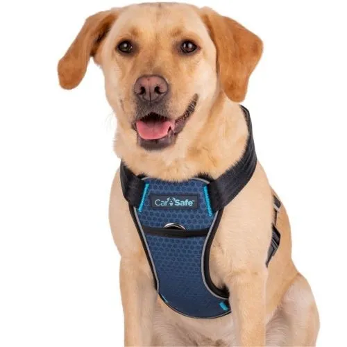 CarSafe Crash Tested Dog Harness Blue Large