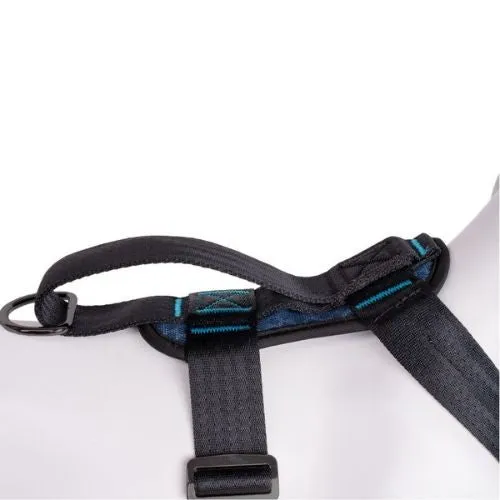 CarSafe Crash Tested Dog Harness Blue Large
