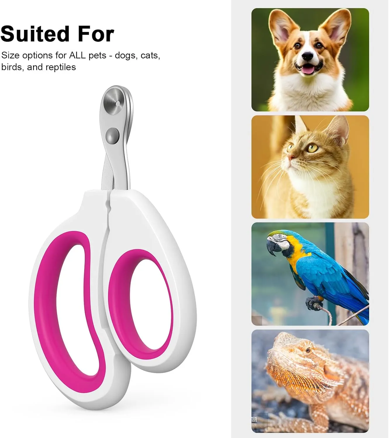 Cat Nail Clippers, Cat Claw Trimmers, Suitable for Small Animals Such as Cats, Birds, Hamsters, Rabbits, Hedgehogs, Ferrets, Chinchillas, Guinea PigsEtc. (Pink)