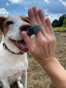 Clicino Clicker 