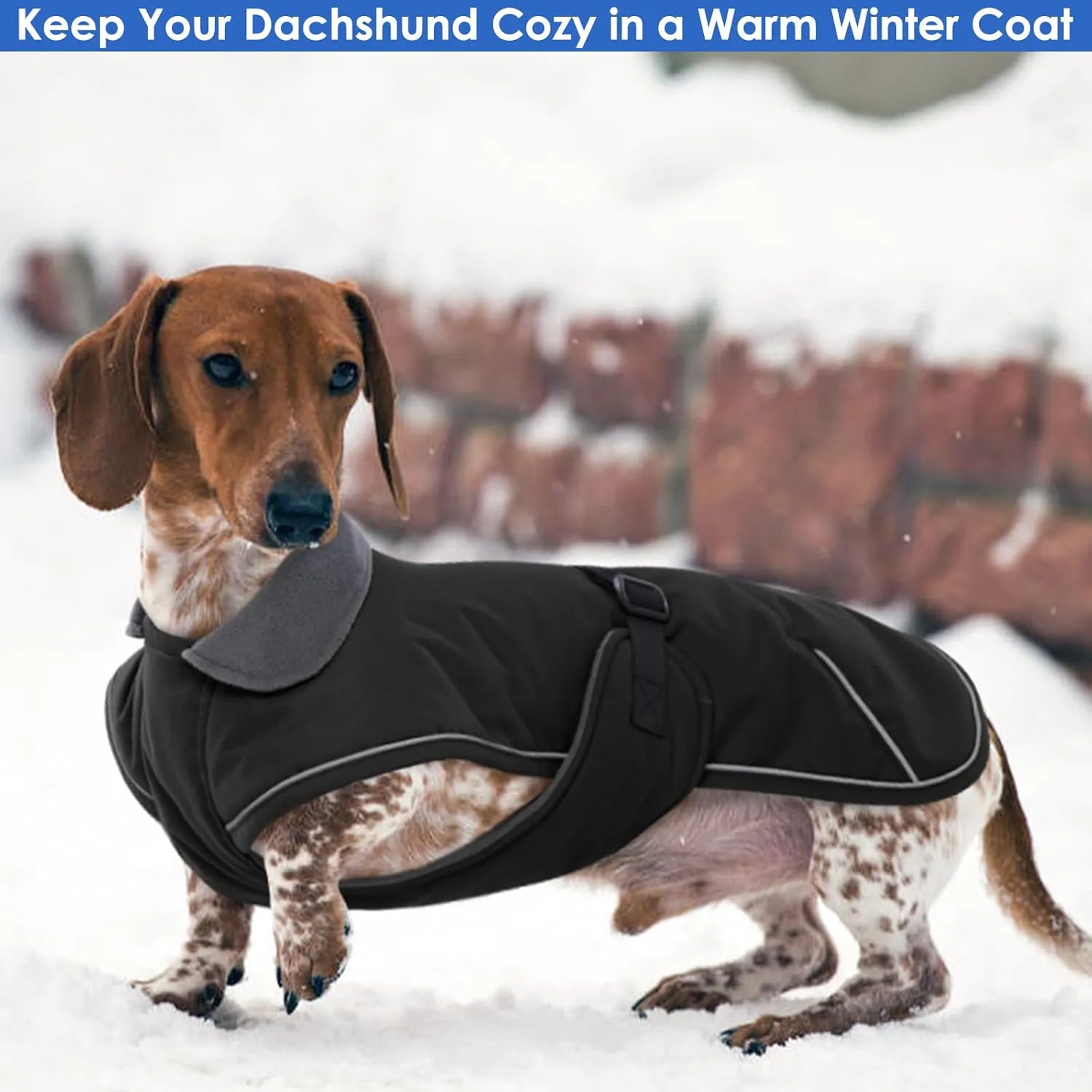 Dachshund Coat Reflective Dachshund Jacket - Black,Small - Waterproof Dachshund Clothes for Winter, Dog Winter Coat with Fleece Lining, Dachshund Coat Harness Hole Adjustable Buckle Closure