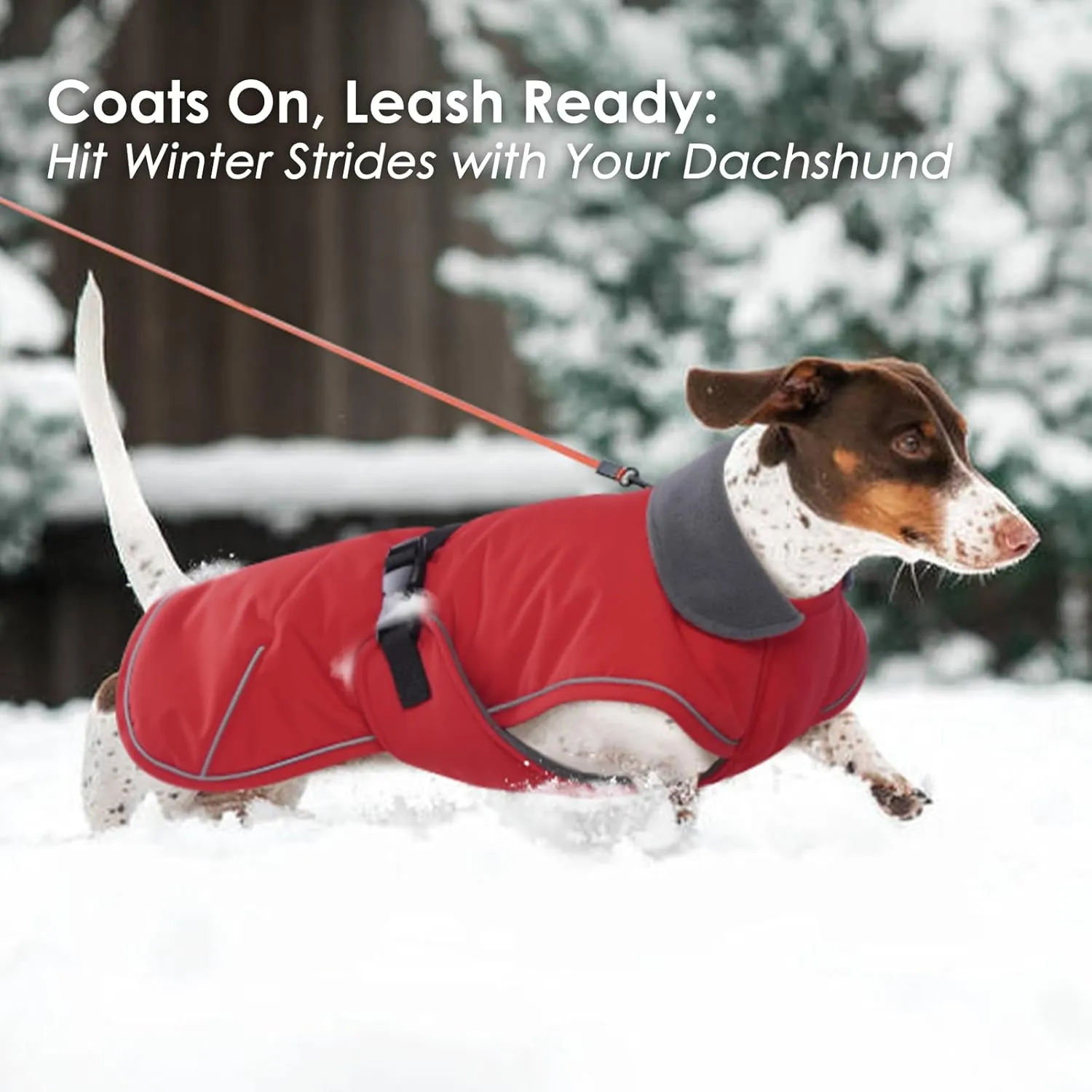 Dachshund Jacket - Reflective, Waterproof Dog Winter Coat, Warm Fleece Lining, Adjustable Buckle Closure - Red, Small