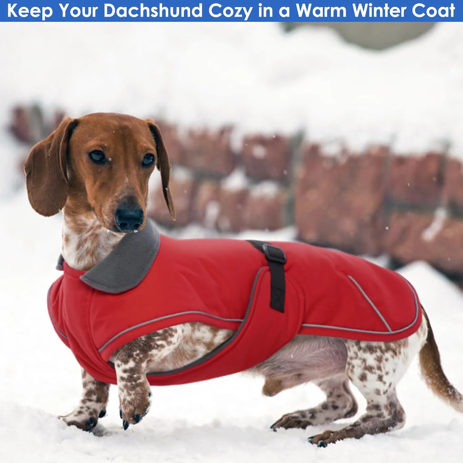 Dachshund Jacket - Reflective, Waterproof Dog Winter Coat, Warm Fleece Lining, Adjustable Buckle Closure - Red, Small