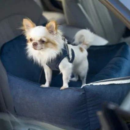 Dog Car Seat luxury by Oh Charlie - Allure Navy Blue