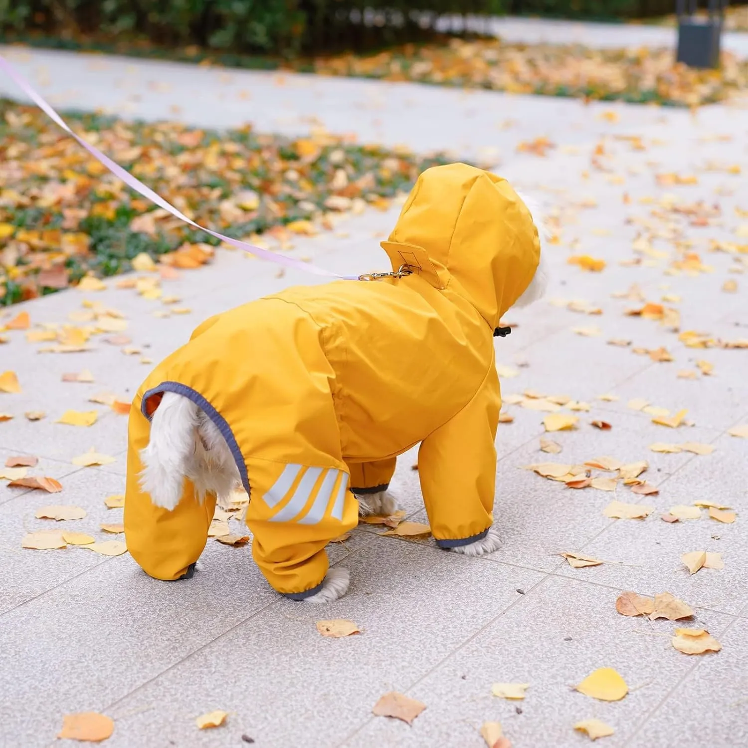 Dog Raincoat, Waterproof Dog Rain Jacket with Hood, Rain Coat with Leash Hole, Reflective Strap for Small Medium Dogs, Outdoor Adventures/Walking Lightweight Puppy(Yellow,L)