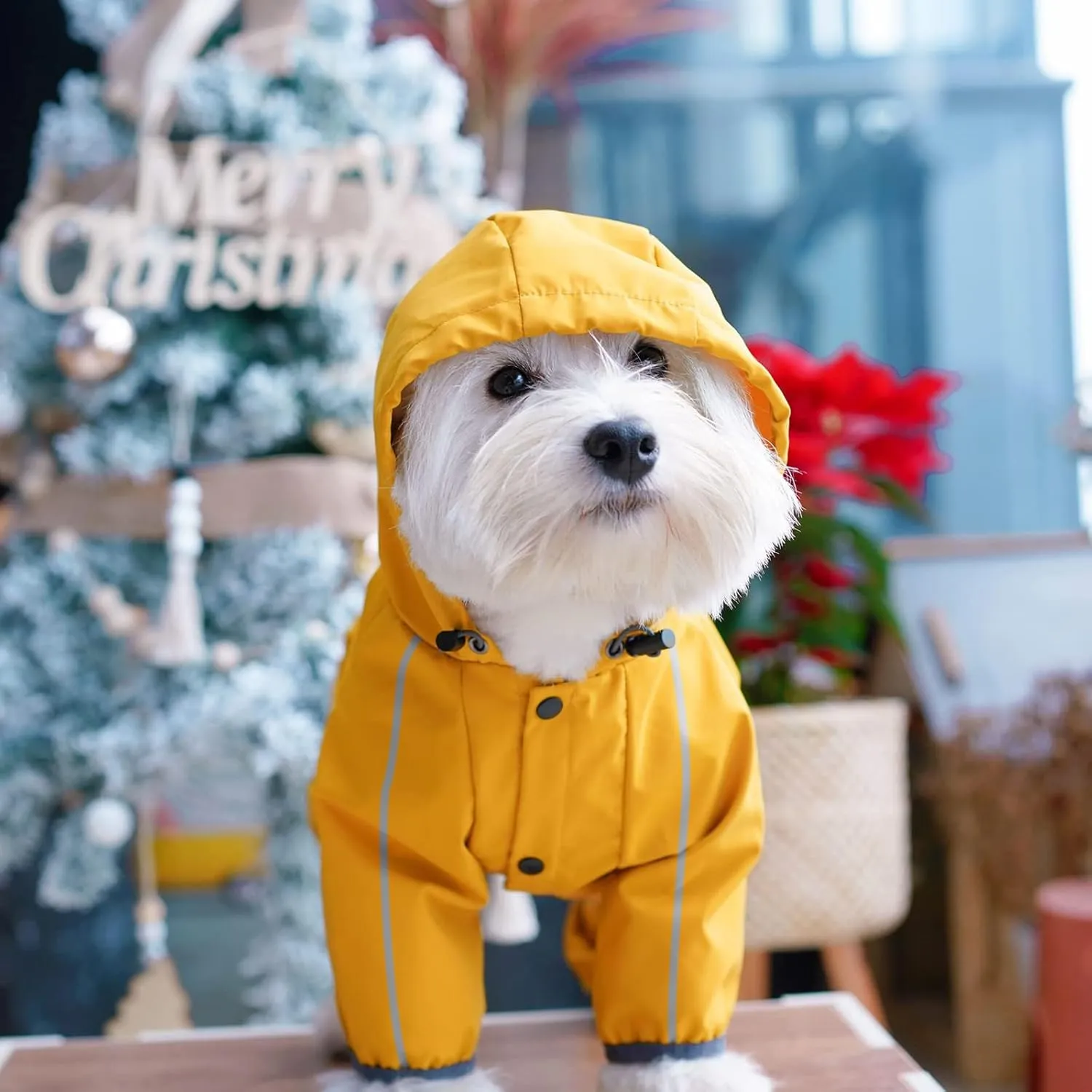 Dog Raincoat, Waterproof Dog Rain Jacket with Hood, Rain Coat with Leash Hole, Reflective Strap for Small Medium Dogs, Outdoor Adventures/Walking Lightweight Puppy(Yellow,L)
