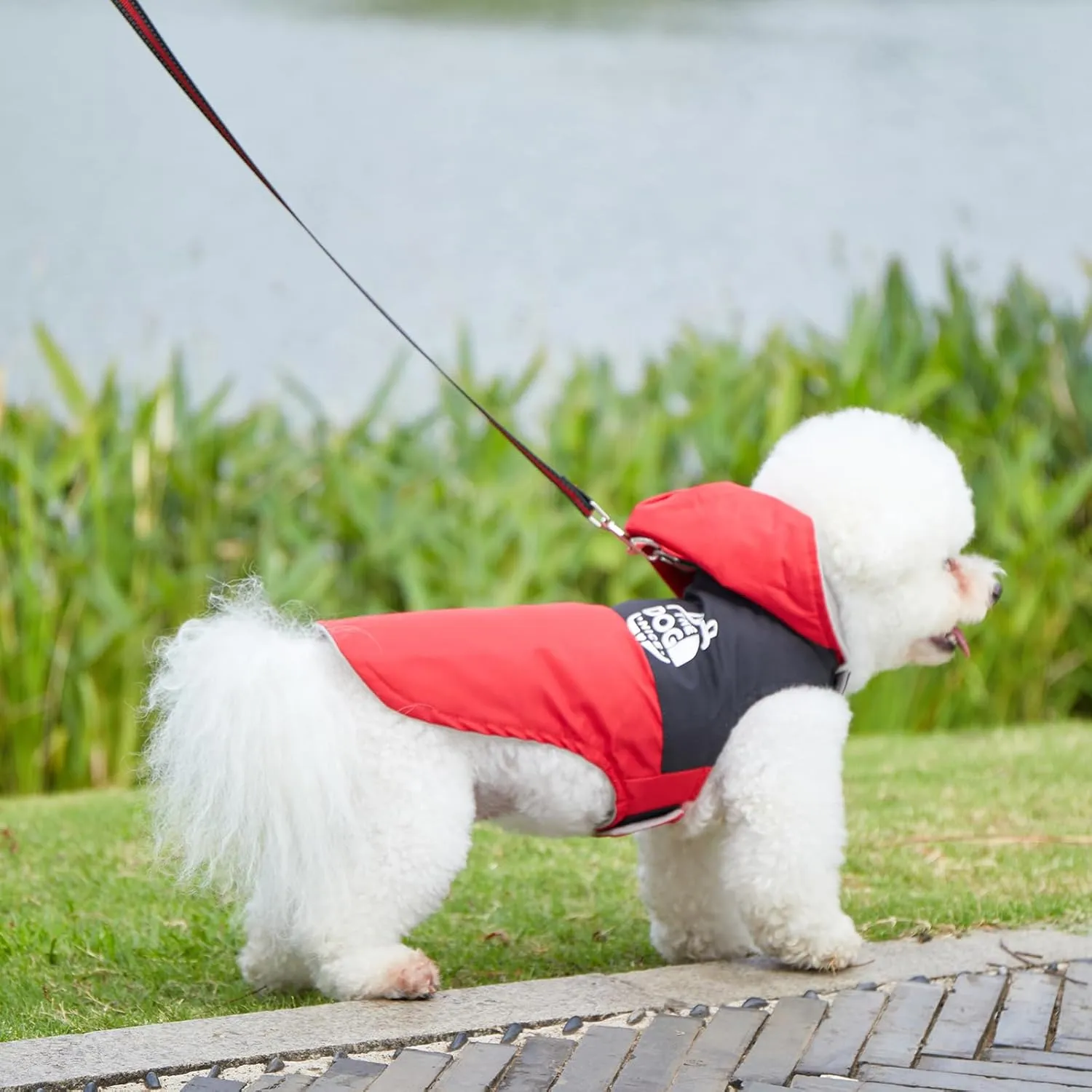 Dog Raincoats,Winter Coat,Windproof Waterproof Warm Jacket,Pet Dog Clothes for Small Medium Large Dogs (Red,Small)