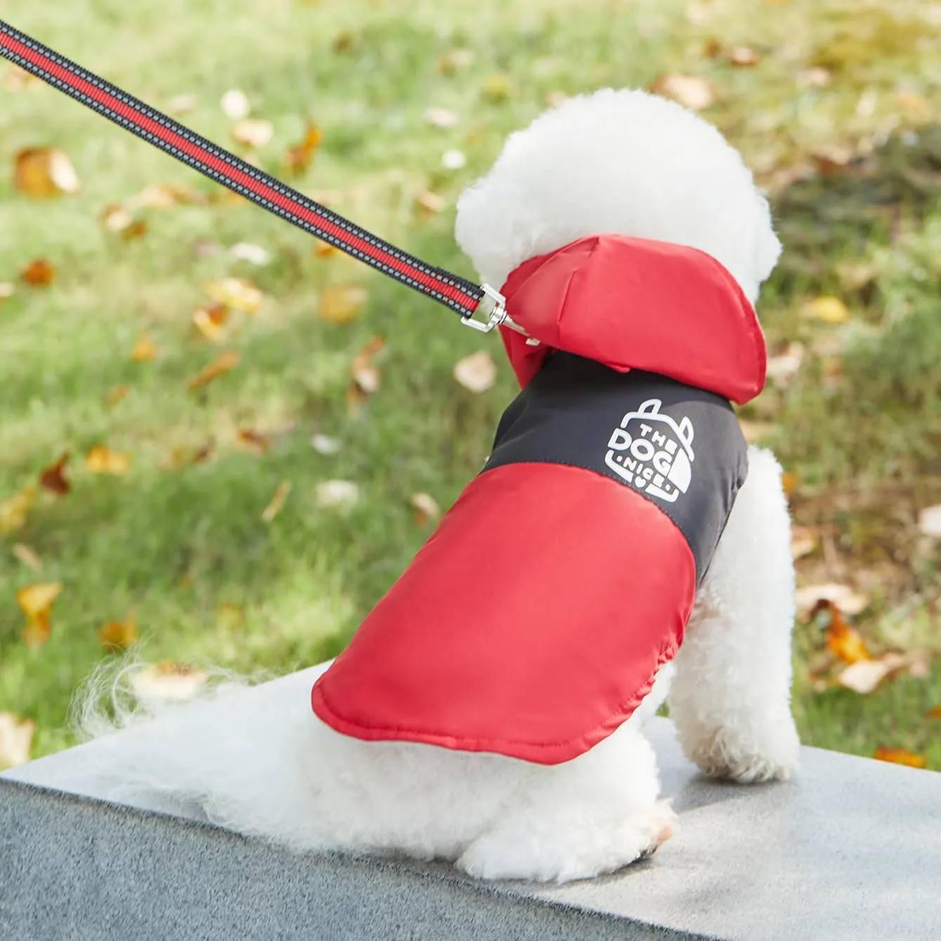 Dog Raincoats,Winter Coat,Windproof Waterproof Warm Jacket,Pet Dog Clothes for Small Medium Large Dogs (Red,Small)