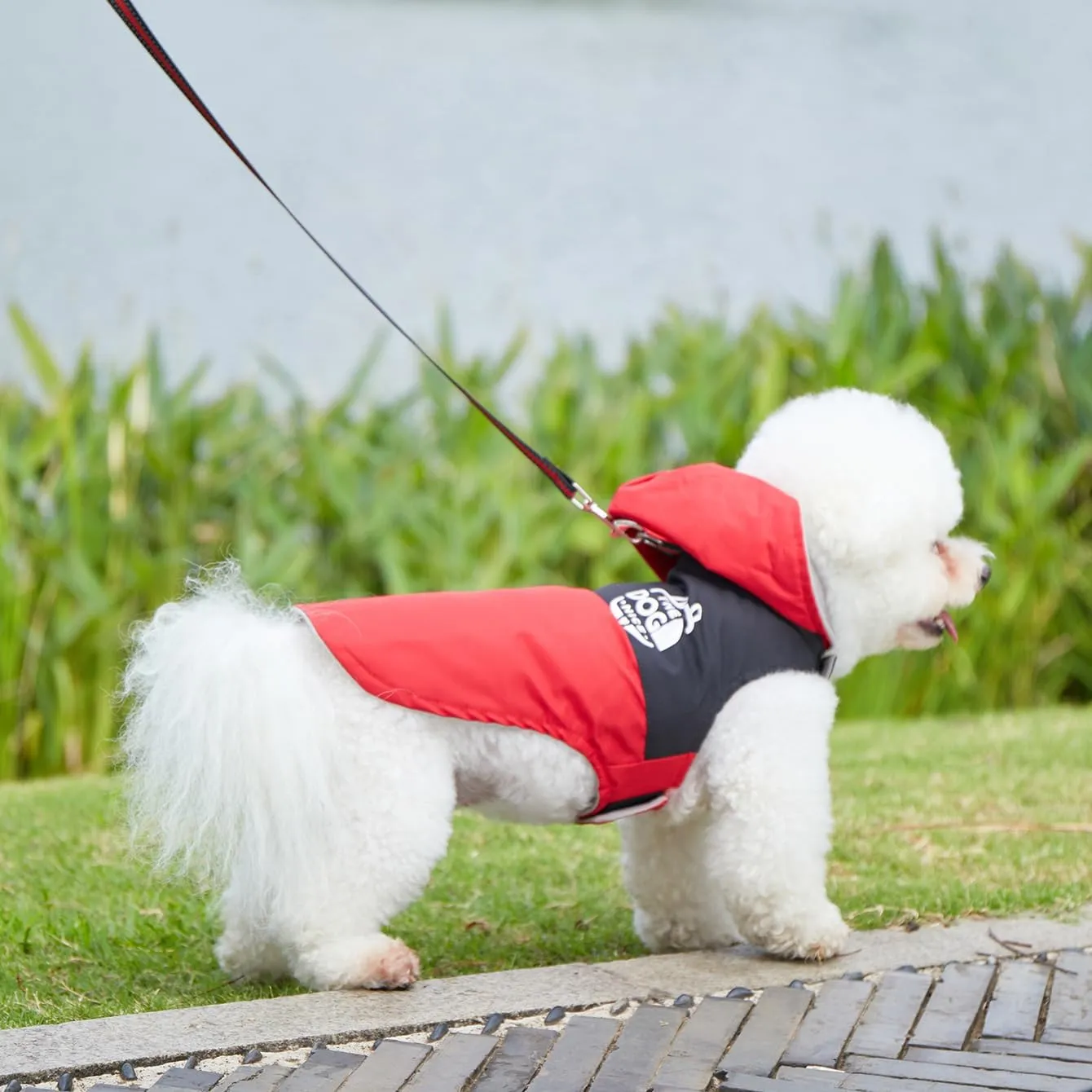 Dog Raincoats,Winter Coat,Windproof Waterproof Warm Jacket,Pet Dog Clothes for Small Medium Large Dogs (Red,Small)