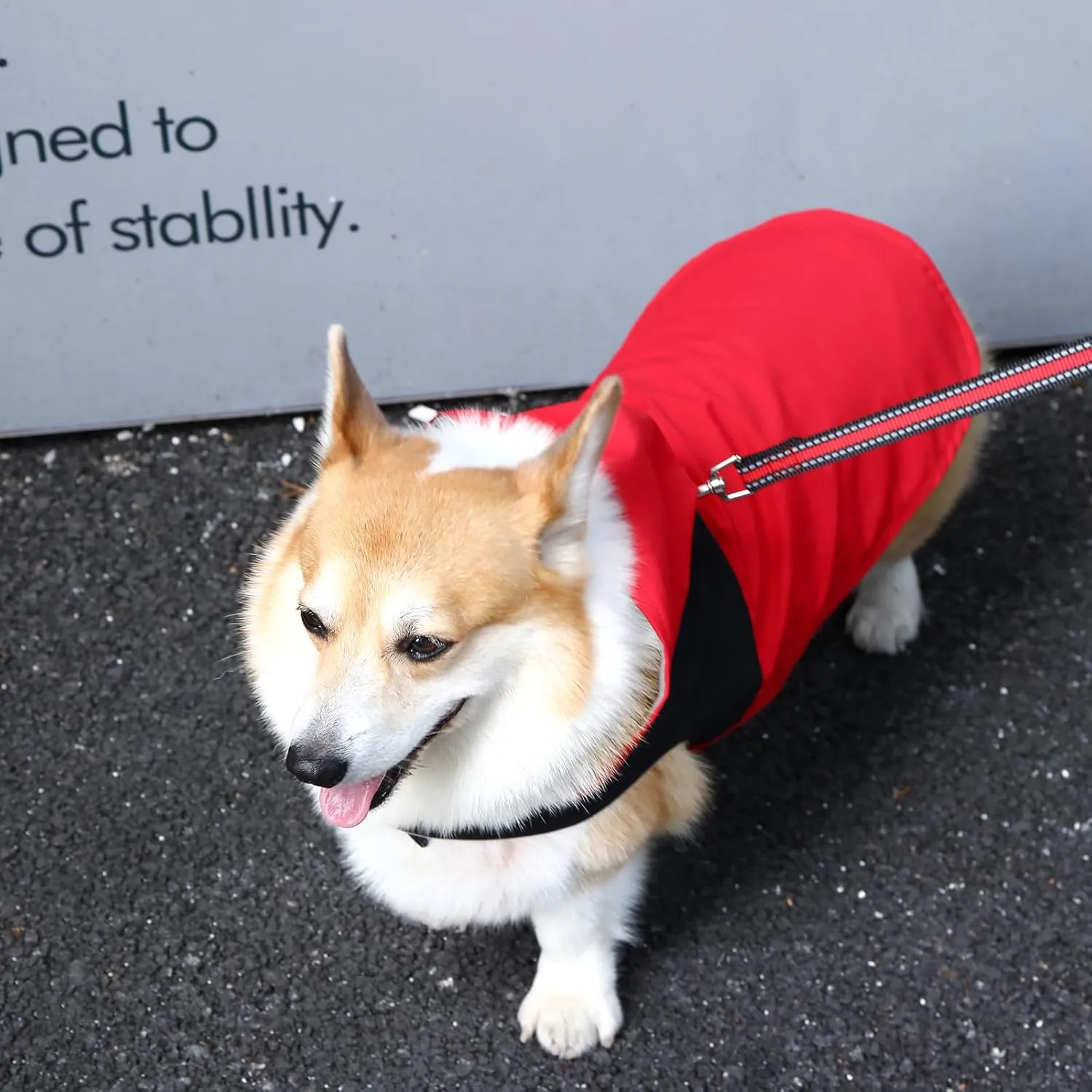 Dog Raincoats,Winter Coat,Windproof Waterproof Warm Jacket,Pet Dog Clothes for Small Medium Large Dogs (Red,Small)