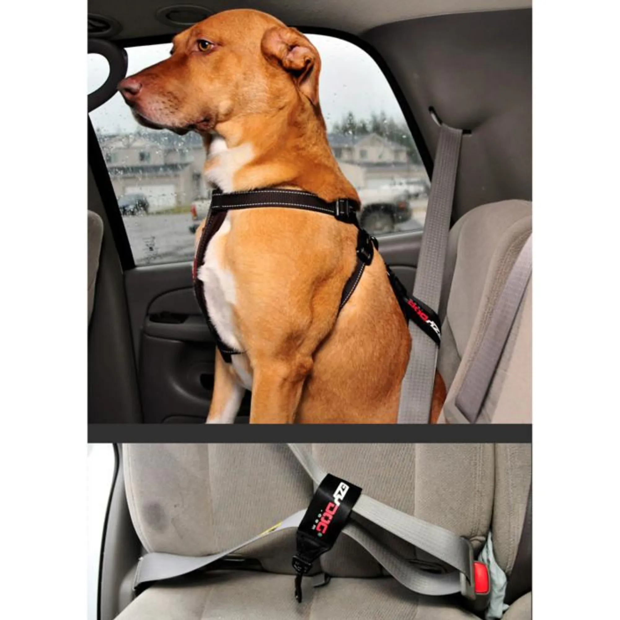 Dog Seat Belt Restraint Loop style
