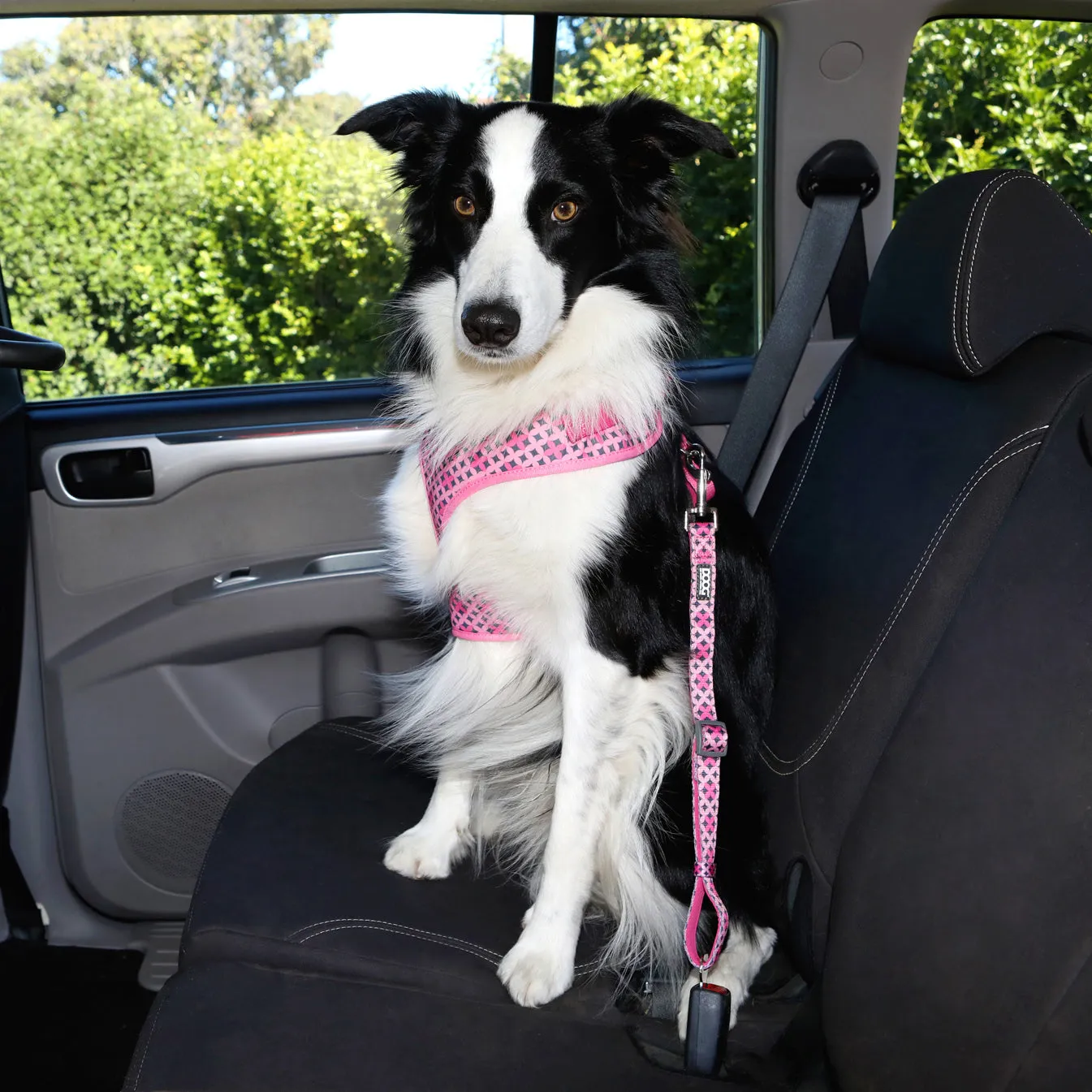 Doog Car Restraint Scooby^^^