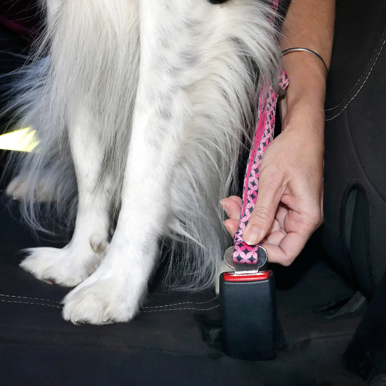 Doog Car Restraint Toto^^^