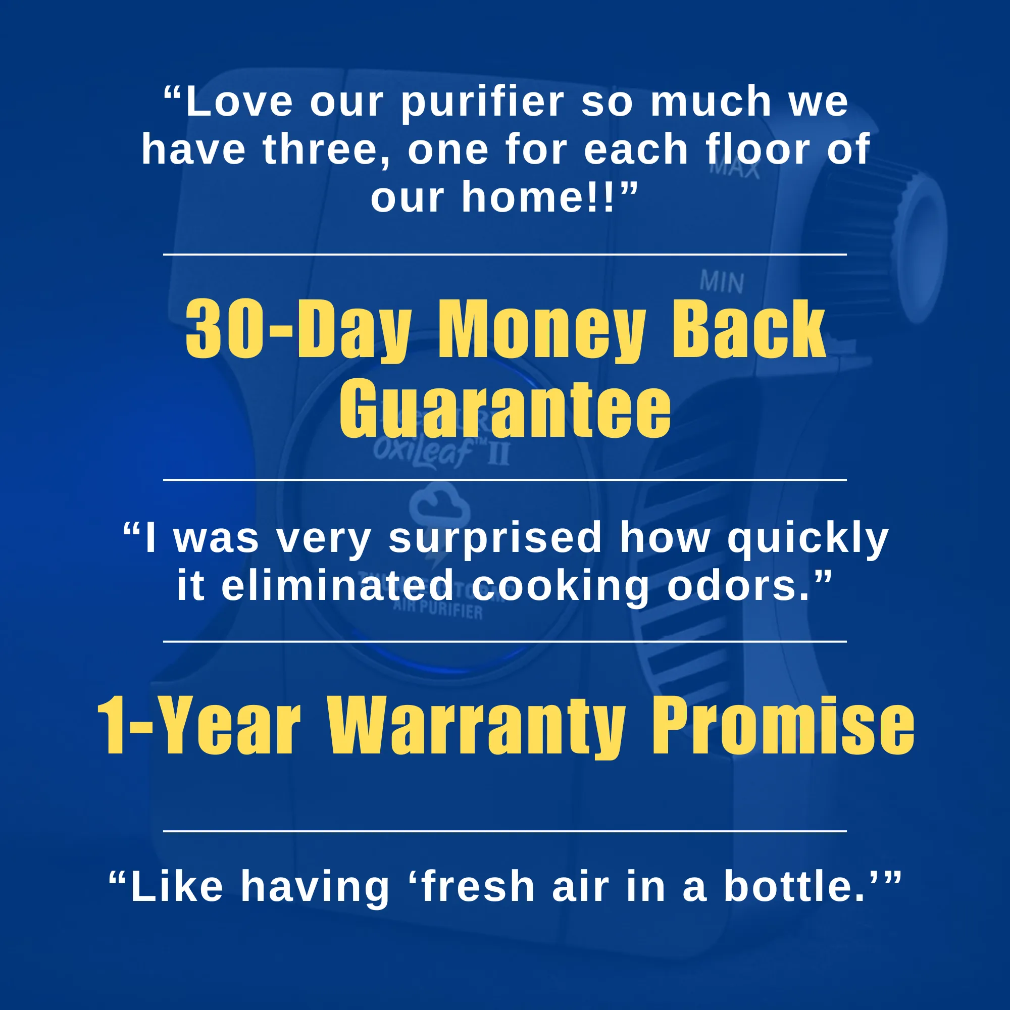 EdenPURE® Thunderstorm® Oxileaf® II Air Purifier