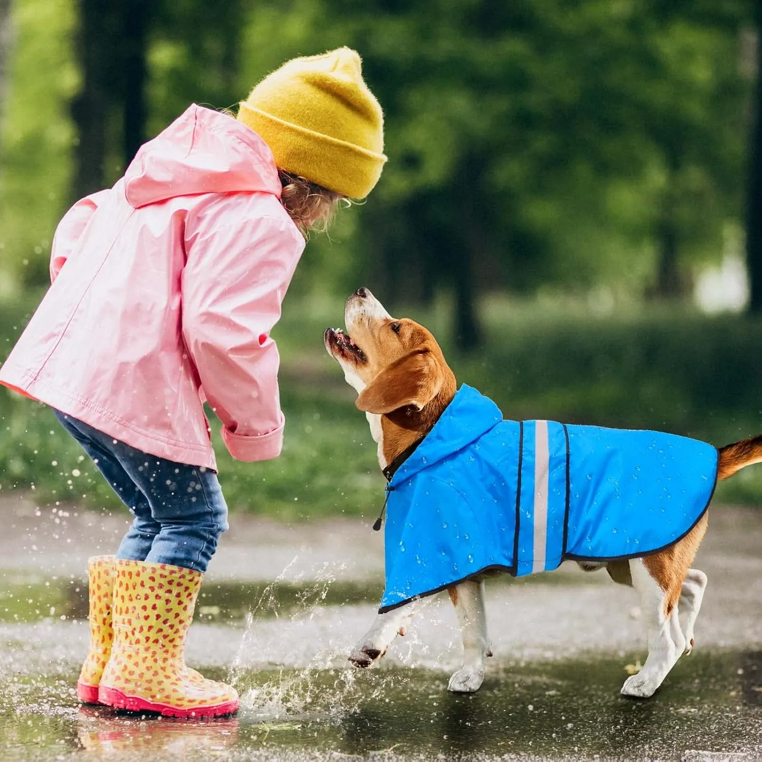 Fashion Hooded Dog Raincoat - Reflective Dog Rain Jacket Lightweight Waterproof Doggy Rain Coat for Medium Dogs (Medium, Blue)