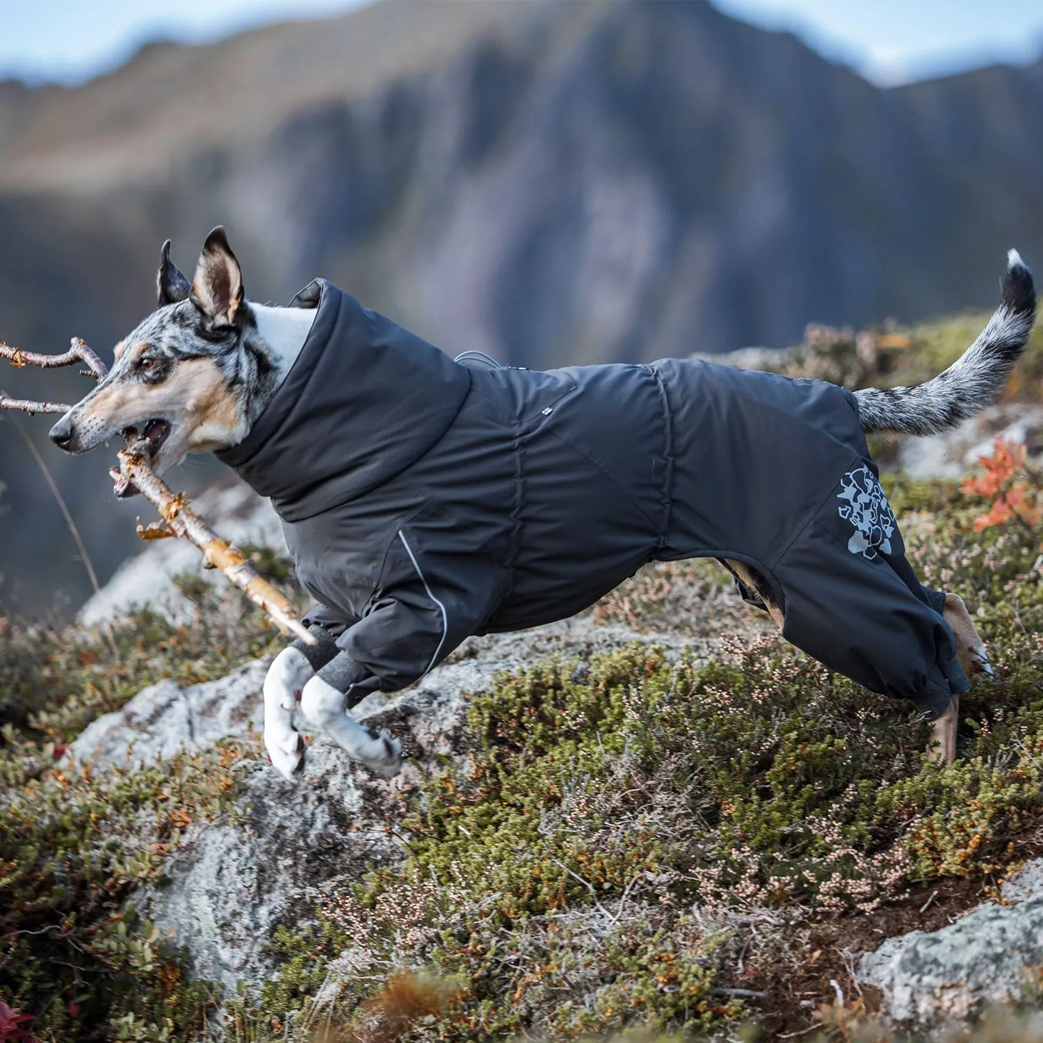 Hurtta Extreme Overall, Dog Snowsuit, BlackBerry, 16M