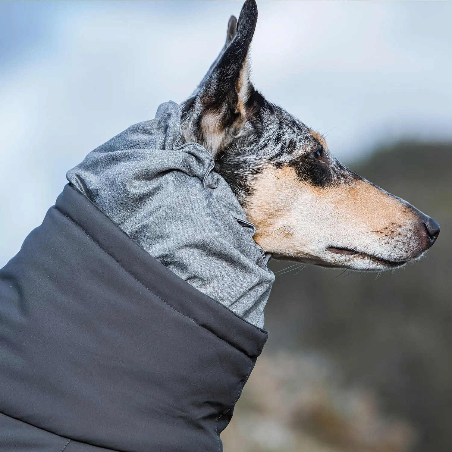 Hurtta Extreme Overall, Dog Snowsuit, BlackBerry, 16M