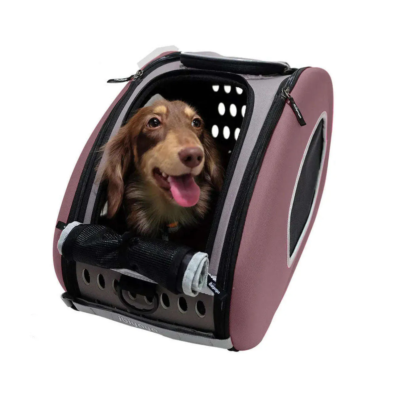 Ibiyaya 5-in-1 Combo EVA Pet Carrier/Stroller | Luxury Package