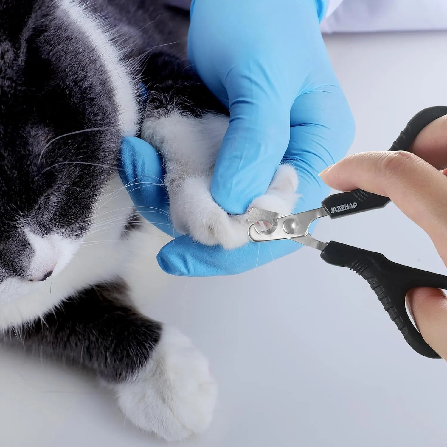 JAZZZNAP Cat Nail Clippers, Pet Nail Cutter Kitten Nail Trimmers for Cat, Puppies, Birds, Curved and Flat Tips with Non-Slip Handle, Black 2Pcs