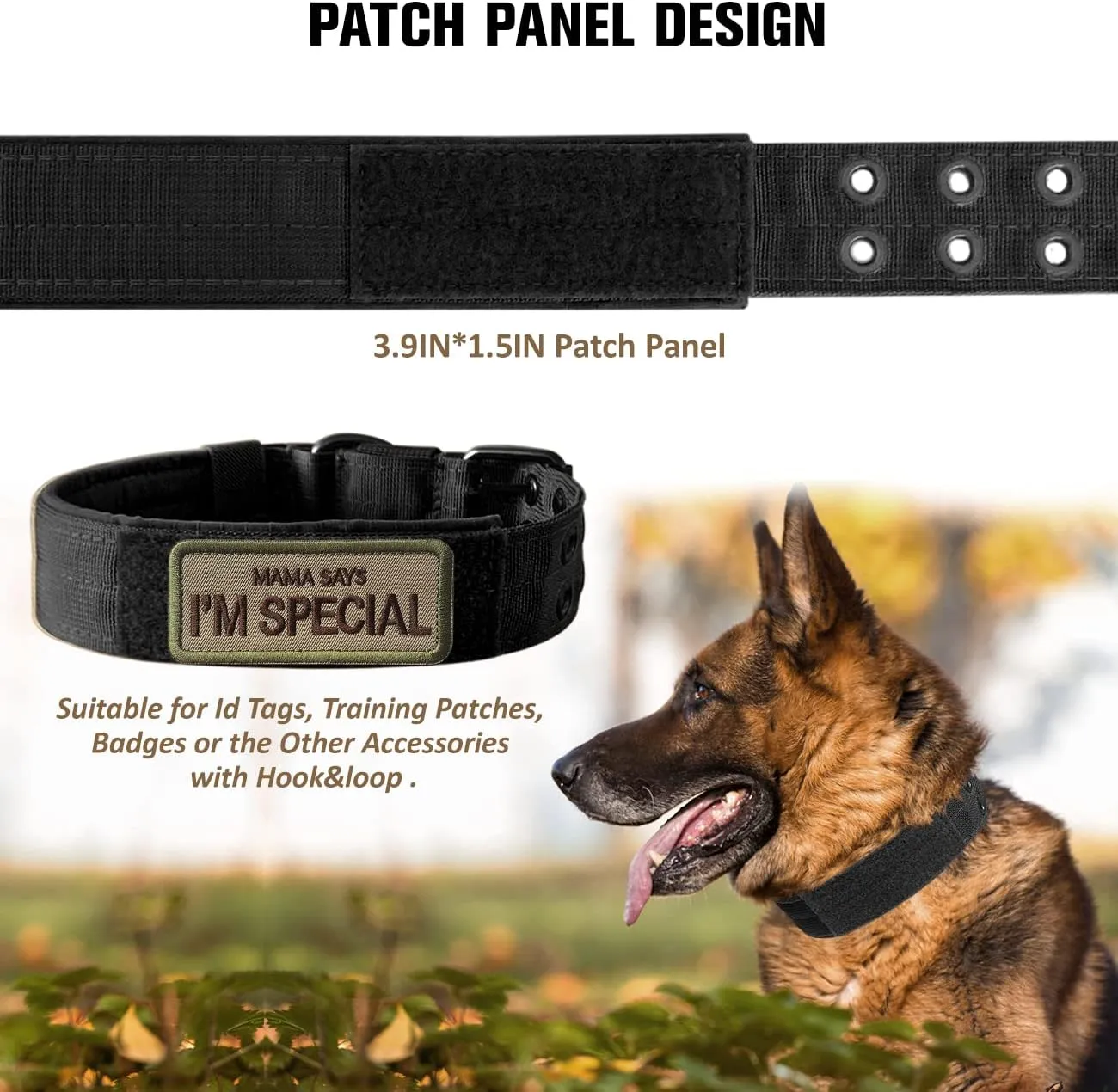  K9 (,M)
