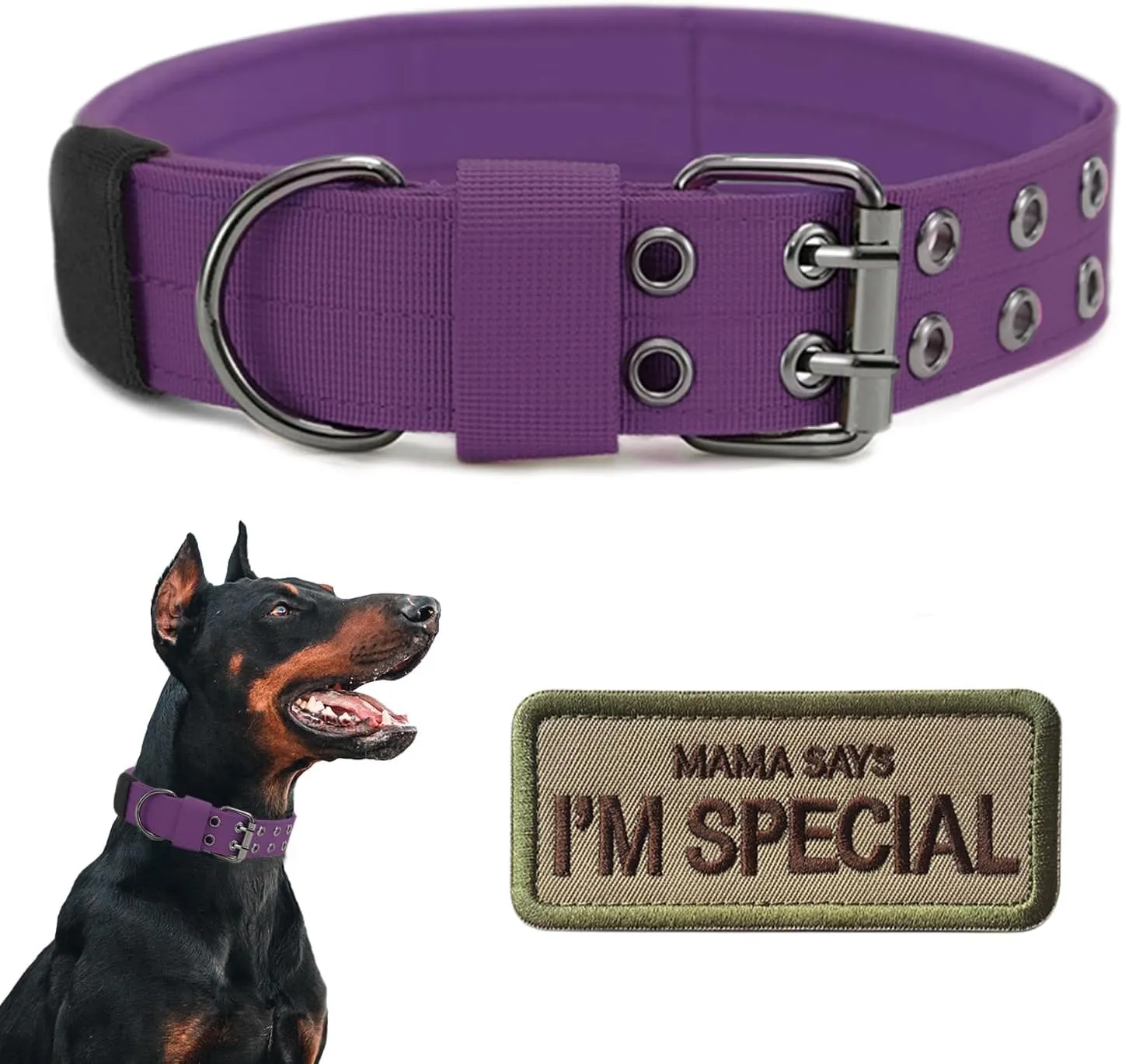  K9 (,M)