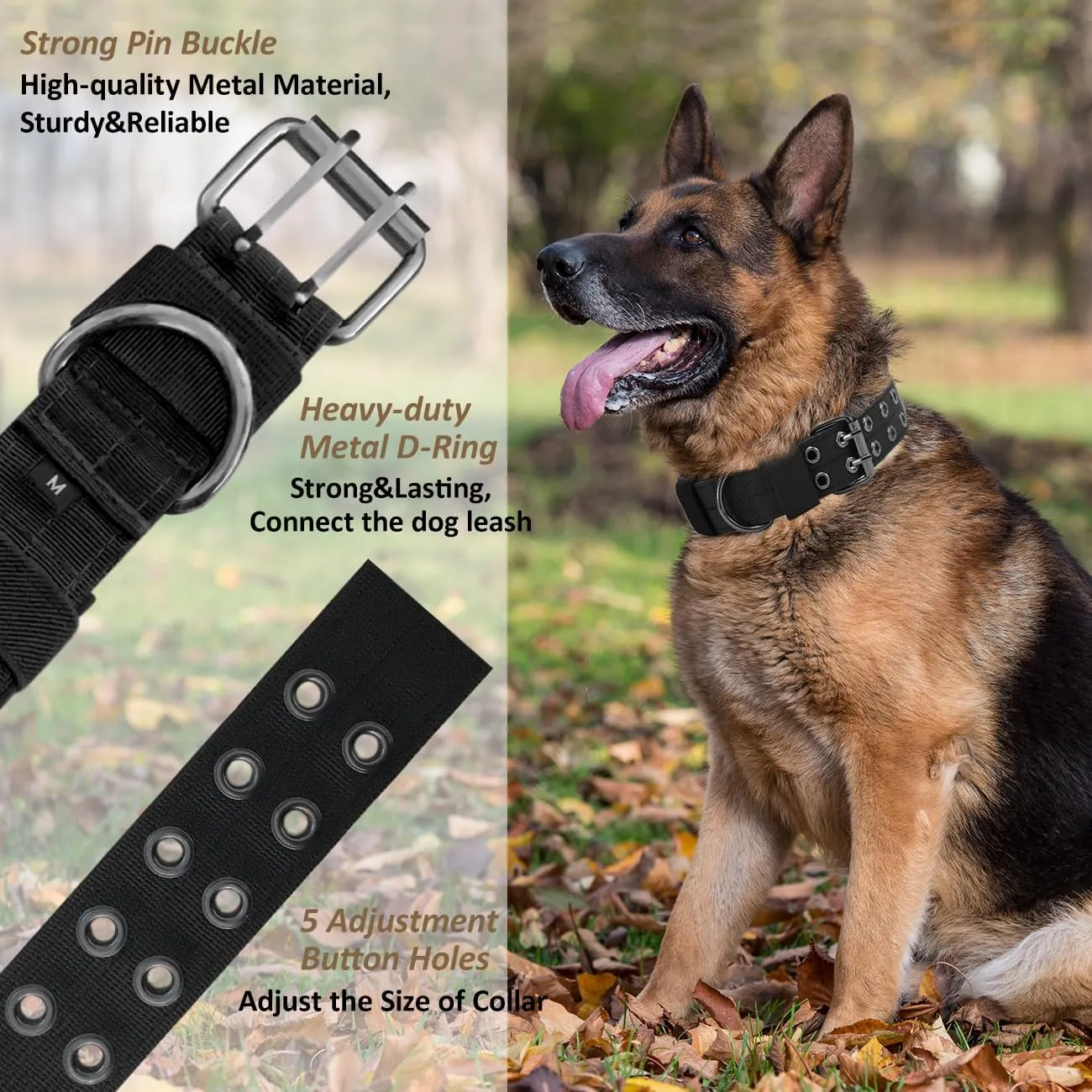  K9 (,M)