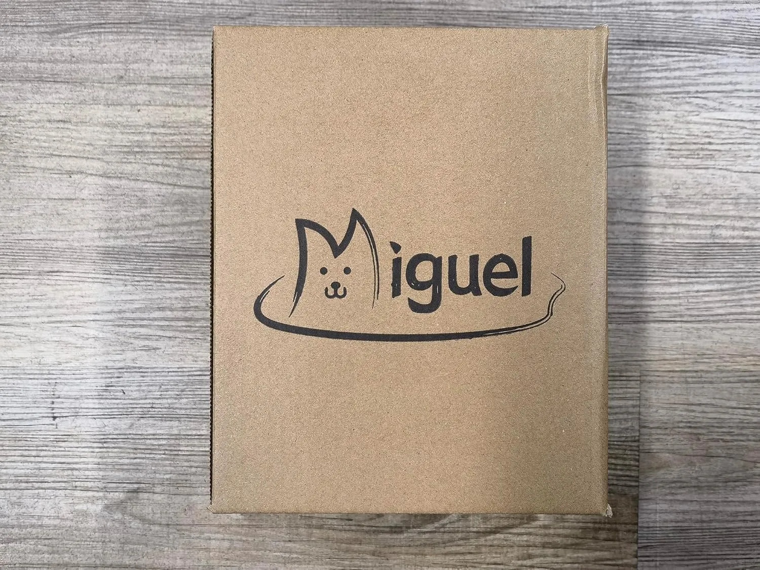 Miguel Outdoor Waterproof Cat Bed with Side, Oxford Durable Dog Bed for Small Dog Easy Clean, All Weather Rectangle Medium Pet Bed Bolster Tough Puppy Bed Scratch Resistant Removable Cover, 25 inches
