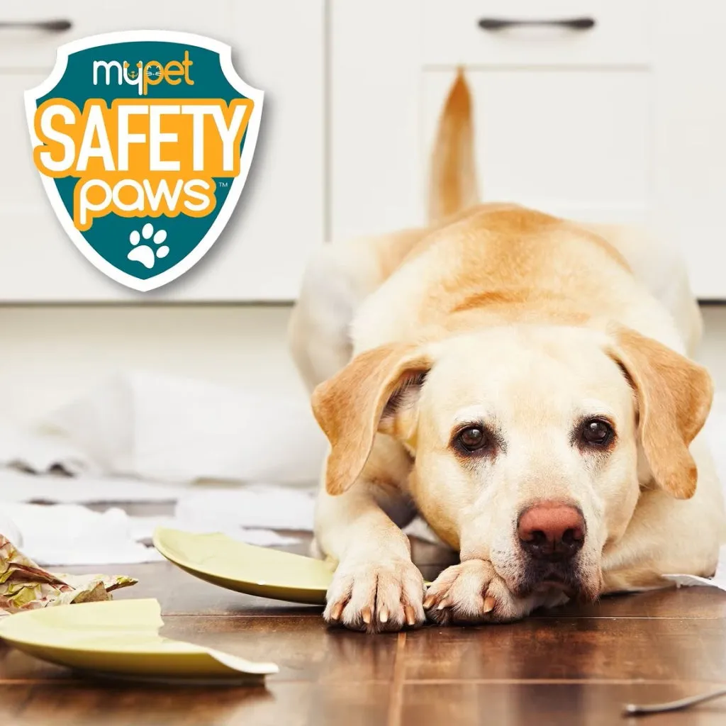 MyPet Safety Paws Mischief Minder Strap Locks for Dogs & Cats(2 pk)