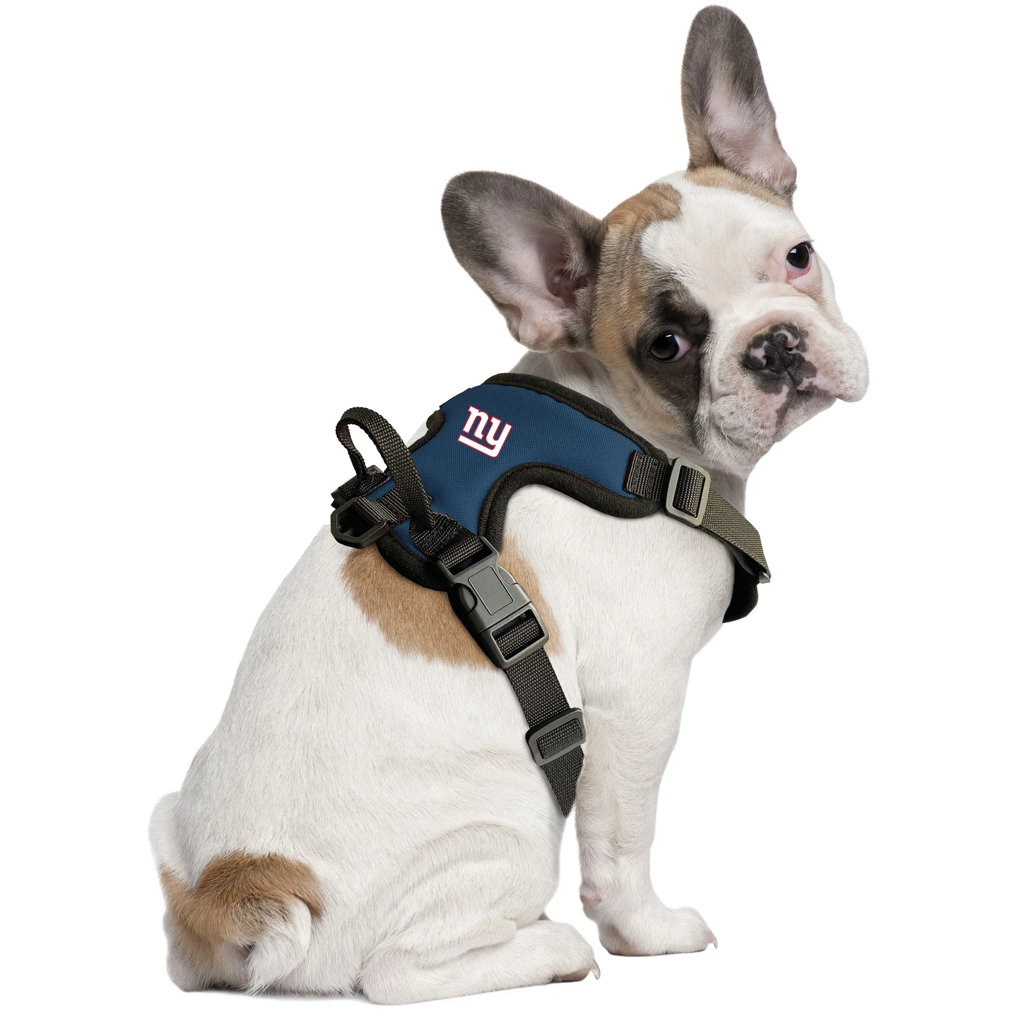 New York Giants Front Clip Pet Harness