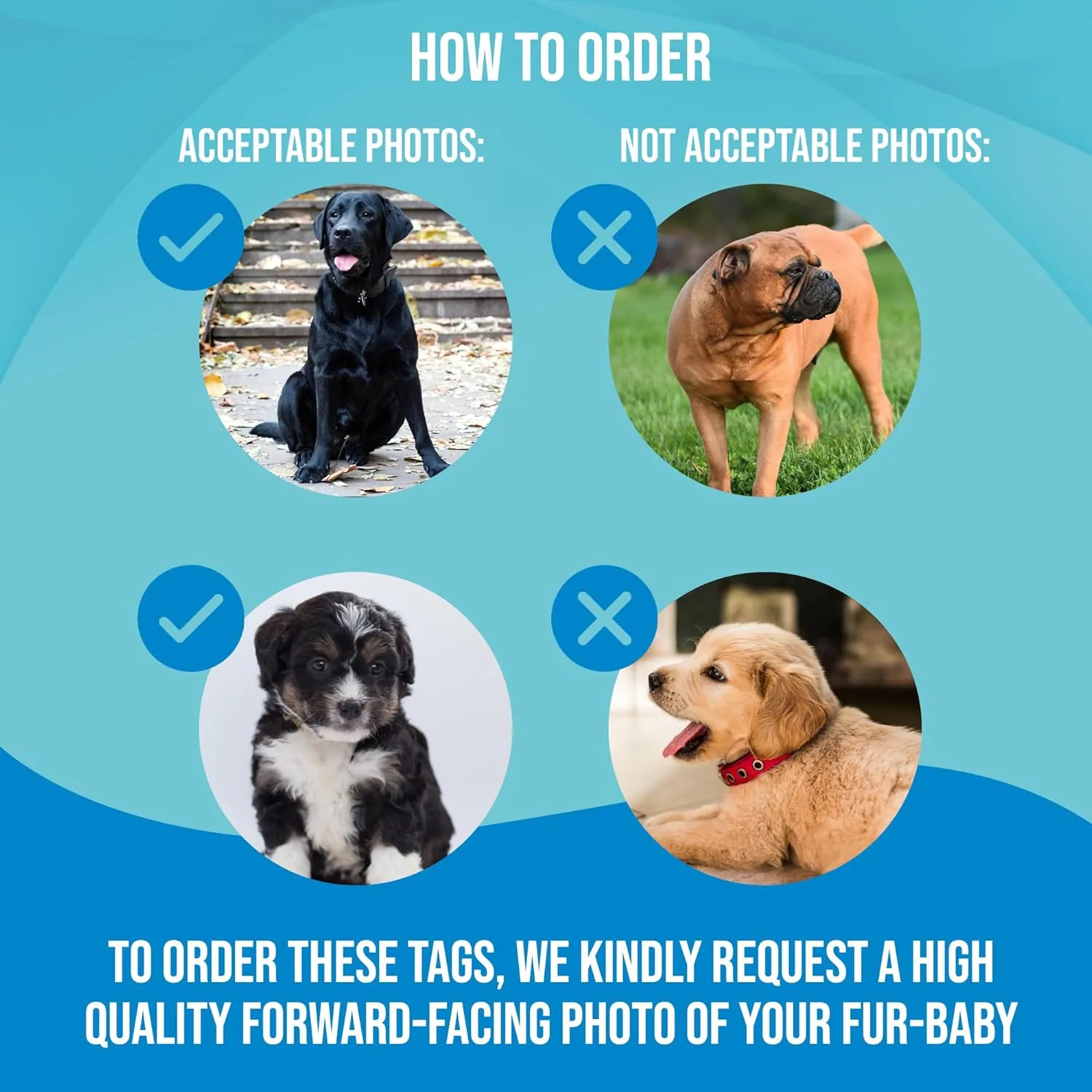 PawFurEver Custom Large Breed Dog ID Tag - Personalized Pet License - Funny Dog ID Tags & Card in New Jersey