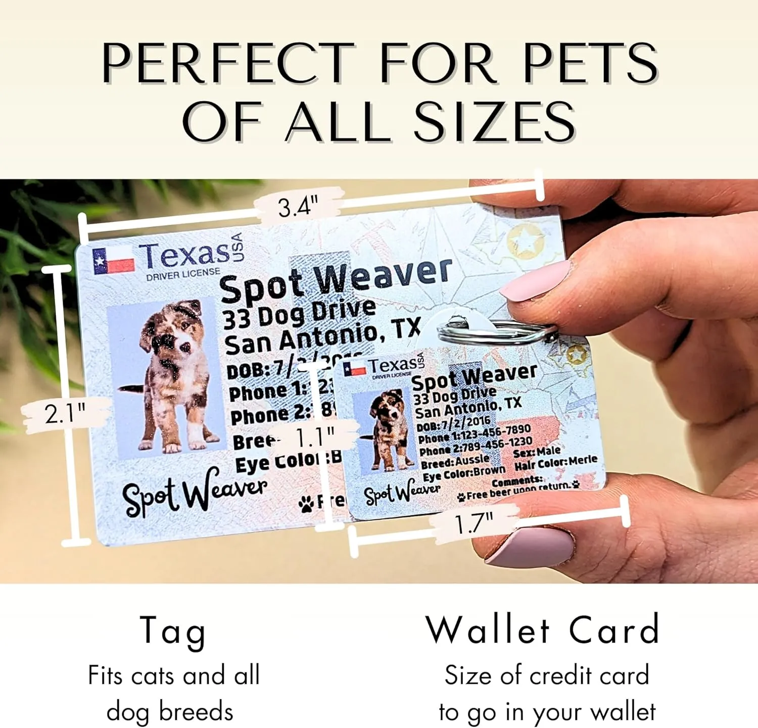 PawFurEver Custom Large Breed Dog ID Tag - Personalized Pet License - Funny Dog ID Tags & Card in New Jersey