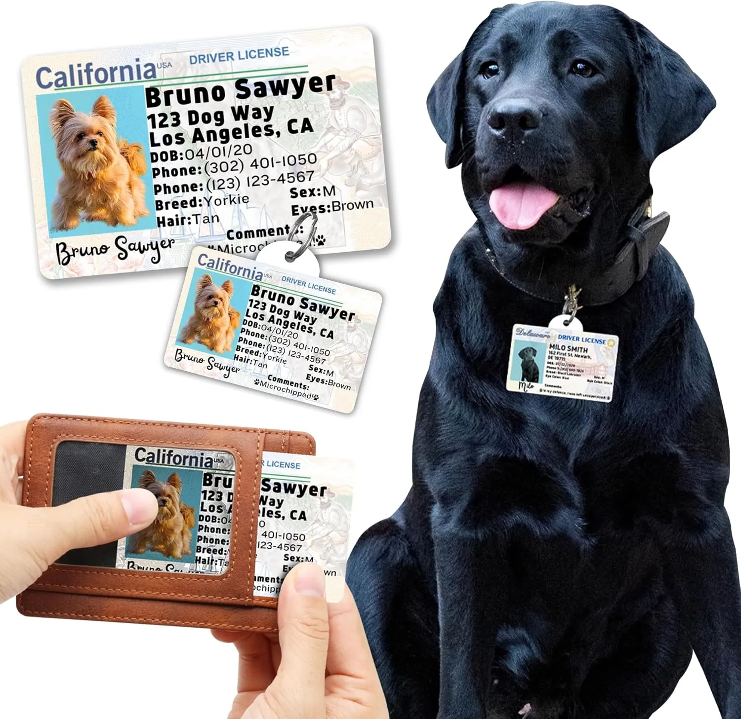 PawFurEver Custom Large Breed Dog ID Tag - Personalized Pet License - Funny Dog ID Tags & Card in New Jersey