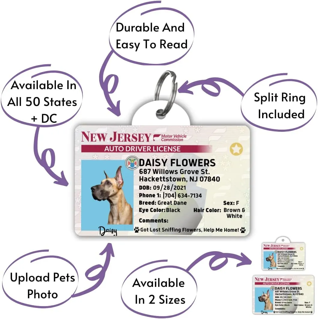 PawFurEver Custom Large Breed Dog ID Tag - Personalized Pet License - Funny Dog ID Tags & Card in New Jersey