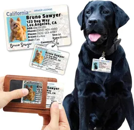 PawFurEver Custom Large Breed Dog ID Tag - Personalized Pet License - Funny Dog ID Tags & Card in New Jersey