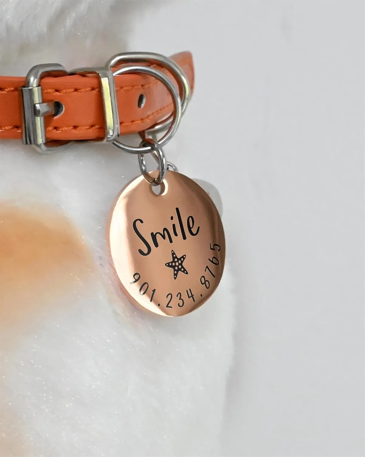 Personalized Lovely Symbols Dog Tags and Cat Custom Engraved Stainless Steel Pet ID Tag (Large, Rose Gold)