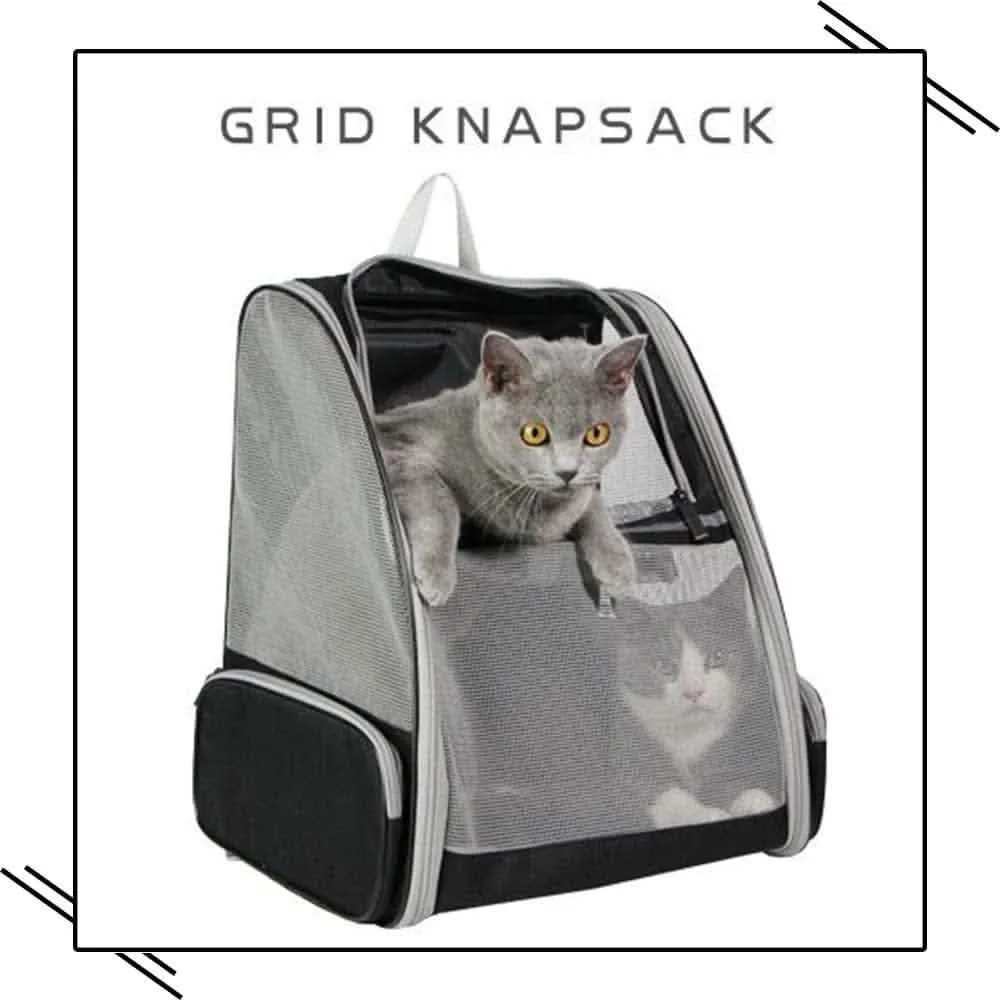 Pet Bubble Backpack | Space Capsule Travel Carrier | Ventilated Design for Cats & Small Dogs | Astronaut Style