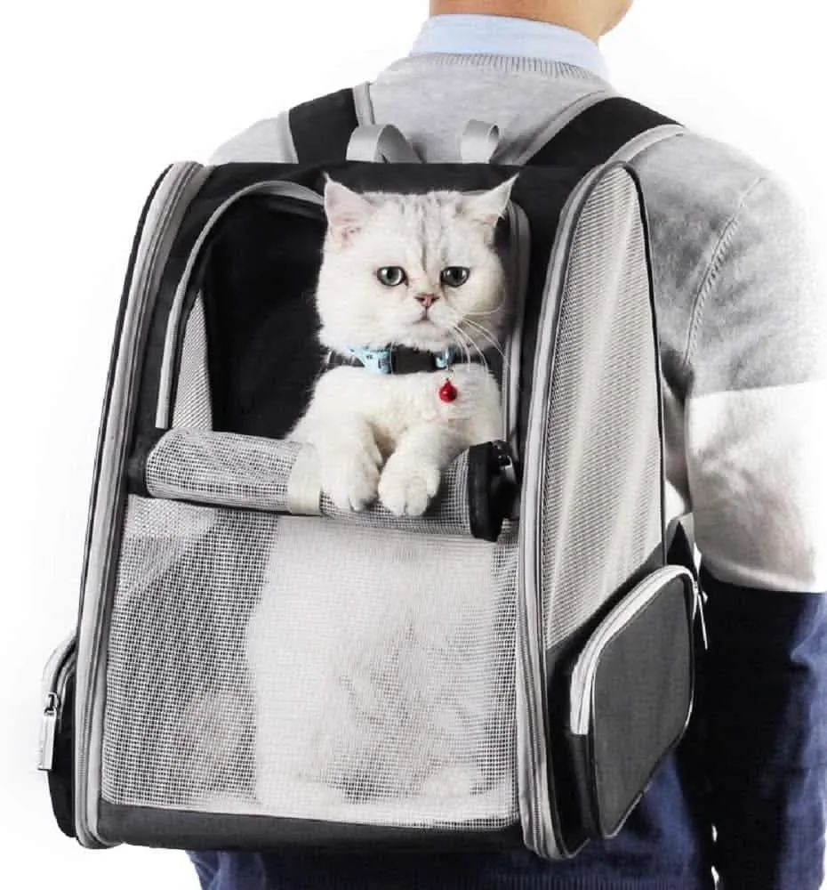 Pet Bubble Backpack | Space Capsule Travel Carrier | Ventilated Design for Cats & Small Dogs | Astronaut Style