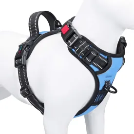 PHOEPET , ID ,2 ,3 [](XS ,)