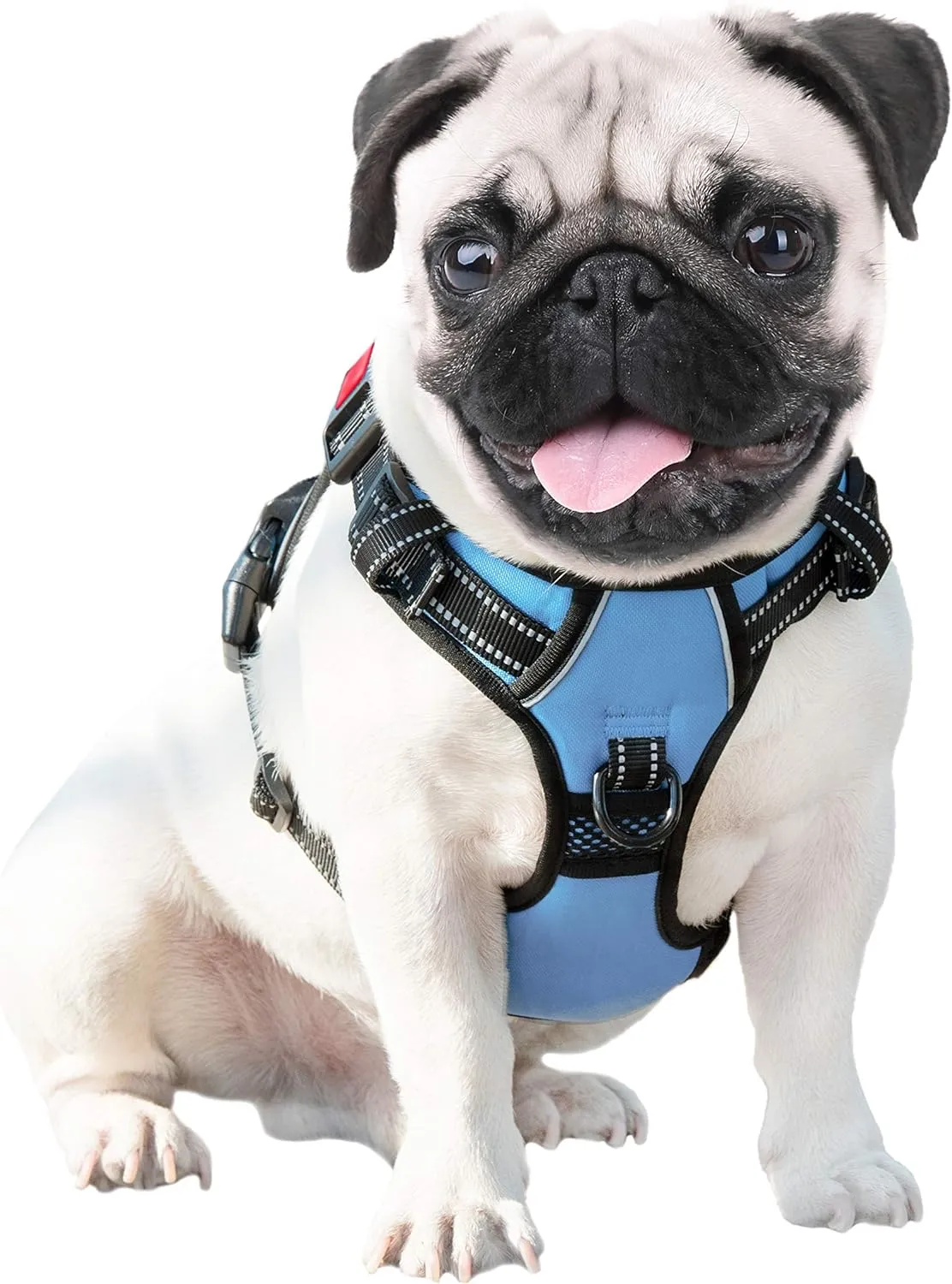 PHOEPET , ID ,2 ,3 [](XS ,)