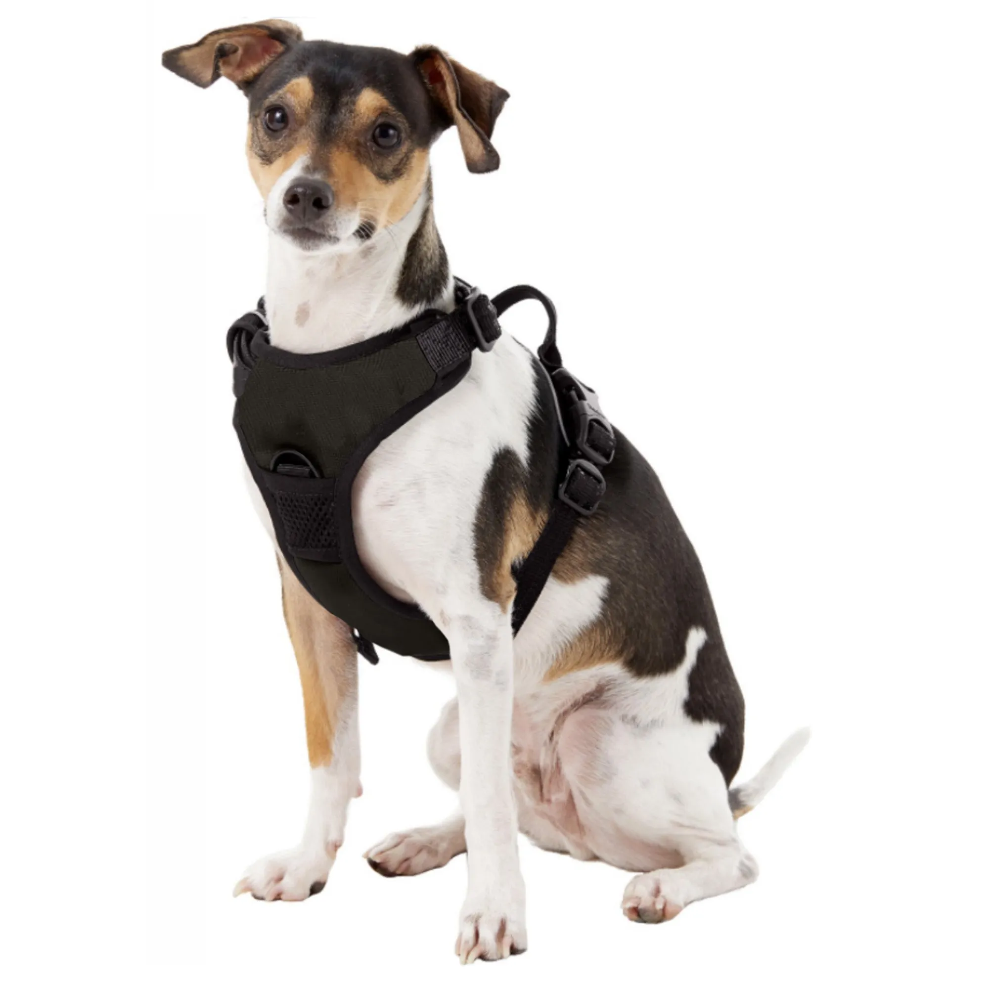 Purdue University Front Clip Pet Harness