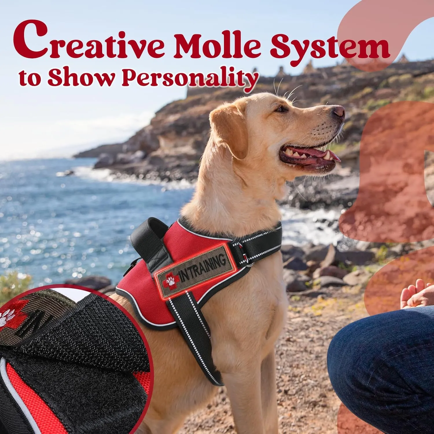 rabbitgoo Dog Harness Medium Sized, No Pull No Choke Pet Vest, Easy Wearing with One Buckle, Adjustable Reflective Harness Buddy with Personalized Molle for Walking, Training, Red, M