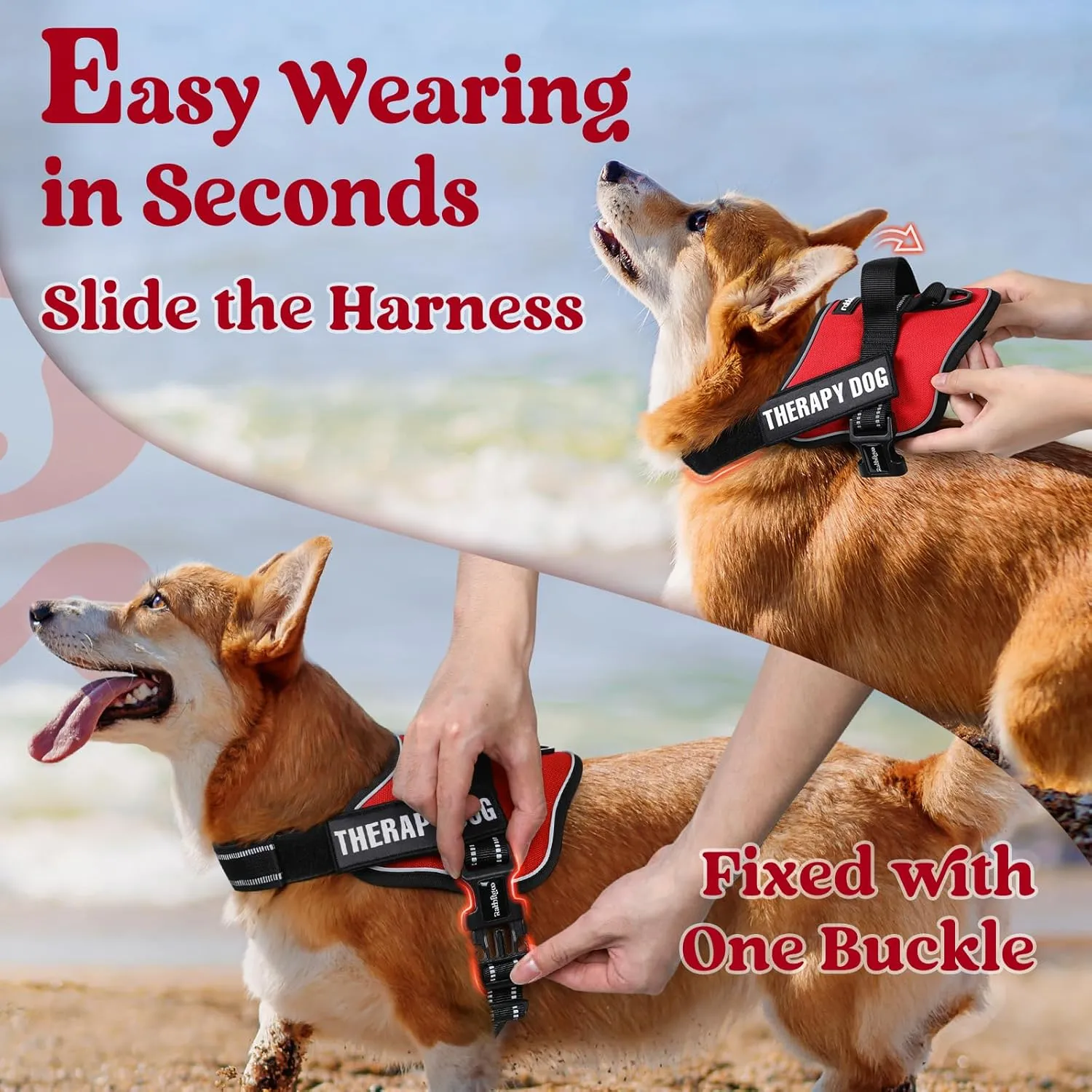rabbitgoo Dog Harness Medium Sized, No Pull No Choke Pet Vest, Easy Wearing with One Buckle, Adjustable Reflective Harness Buddy with Personalized Molle for Walking, Training, Red, M